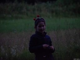 060